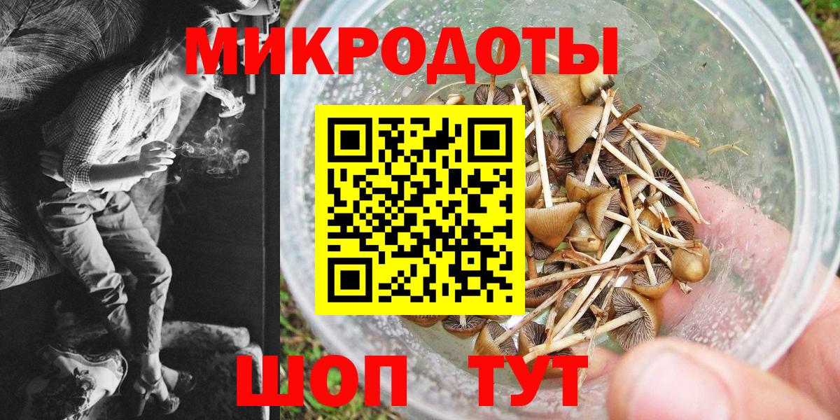 Златоуст  купить закладку  Галлюциногенные грибы ЛСД  Вход с VPN  Галлюциногенные грибы Cubensis 